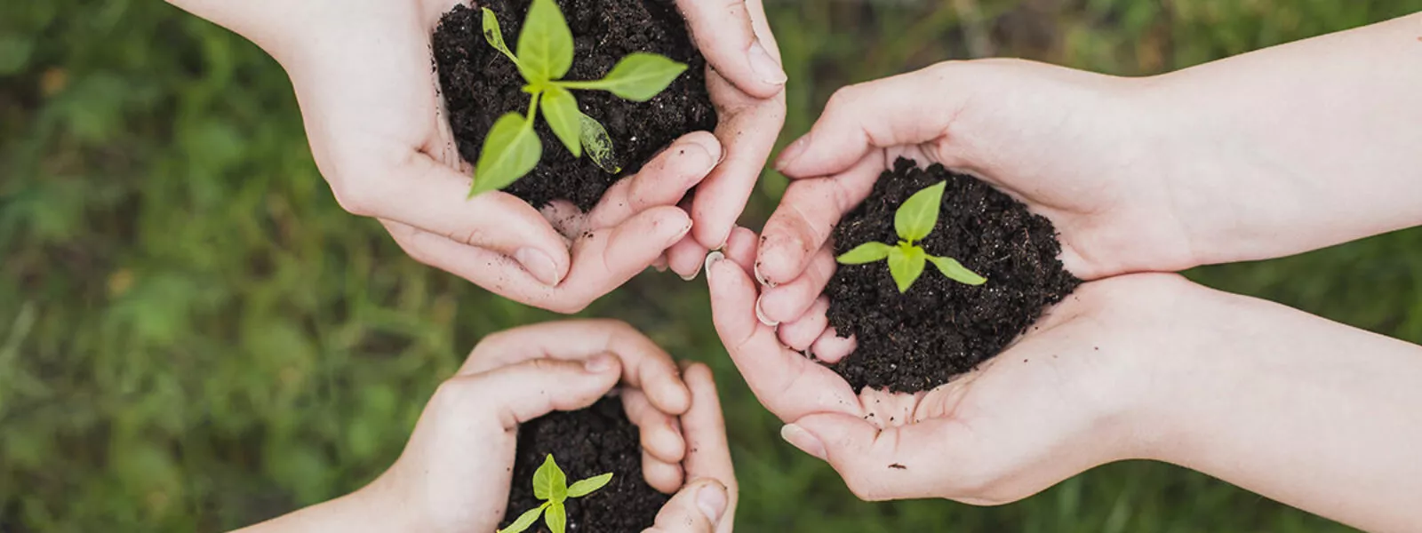 formation civique enb