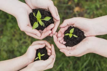 formation civique enb