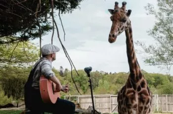 projet plumes a branféré