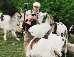 etude musicalité plume - M Horlaville