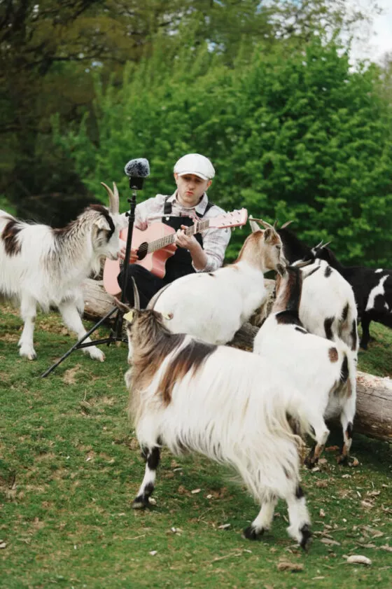 etude musicalité plume - M Horlaville