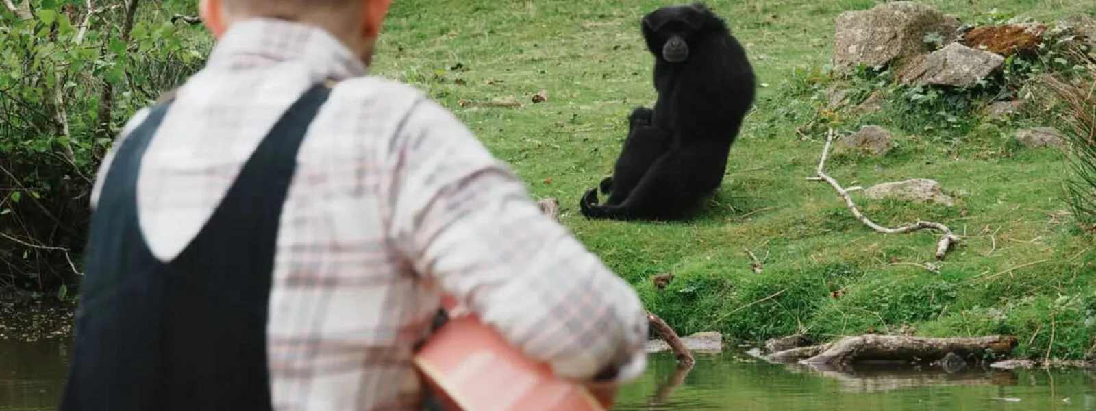 operation plumes branfere