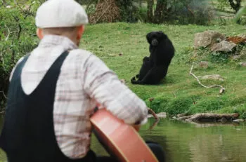 operation plumes branfere