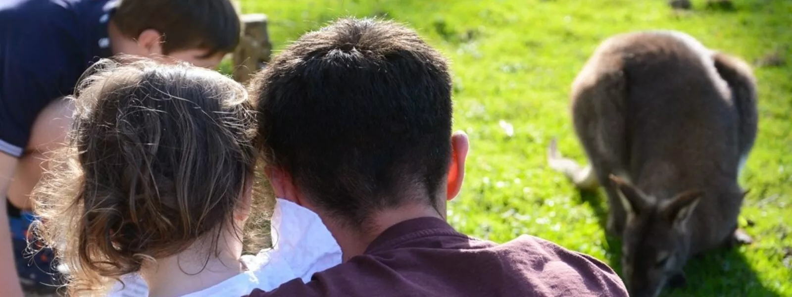 activité en famille