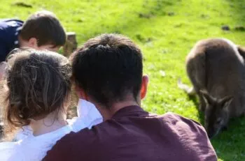 activité en famille