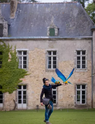 rdv desoiseaux de branfere