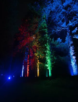 Spectacle nocturne les nuits de Branféré vue 7