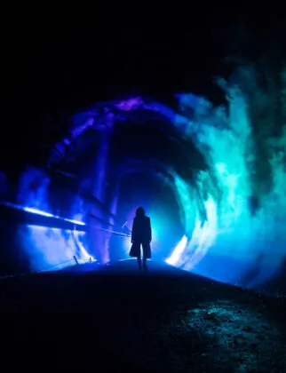 Spectacle nocturne les nuits de Branféré vue 8