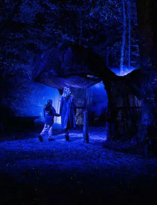 Spectacle nocturne les nuits de Branféré vue 9