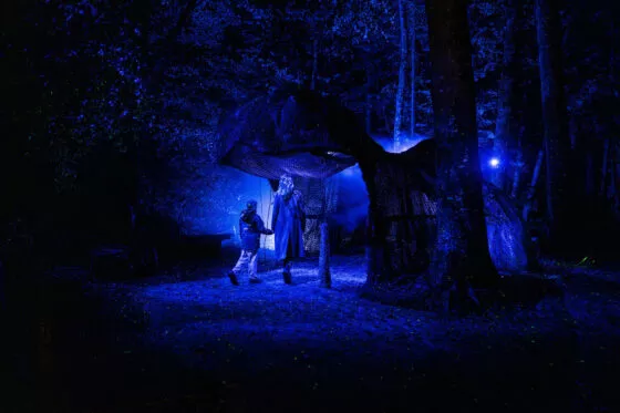 Spectacle nocturne les nuits de Branféré vue 9