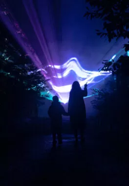 Spectacle nocturne les nuits de Branféré vue 1