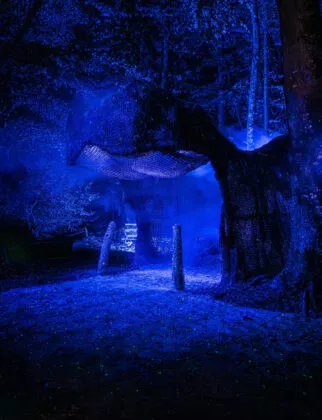 Spectacle nocturne les nuits de Branféré vue 10