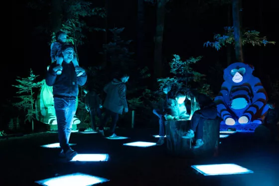 Spectacle nocturne les nuits de Branféré vue 11