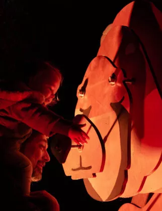 Spectacle nocturne les nuits de Branféré vue 12