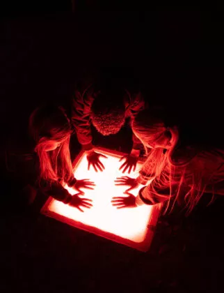 Spectacle nocturne les nuits de Branféré vue 14