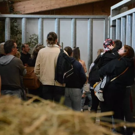 Coulisses Branféré batiment rhino