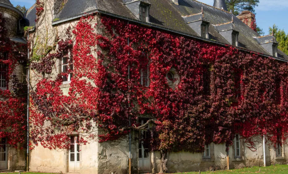 Chateau de Branféré en automne