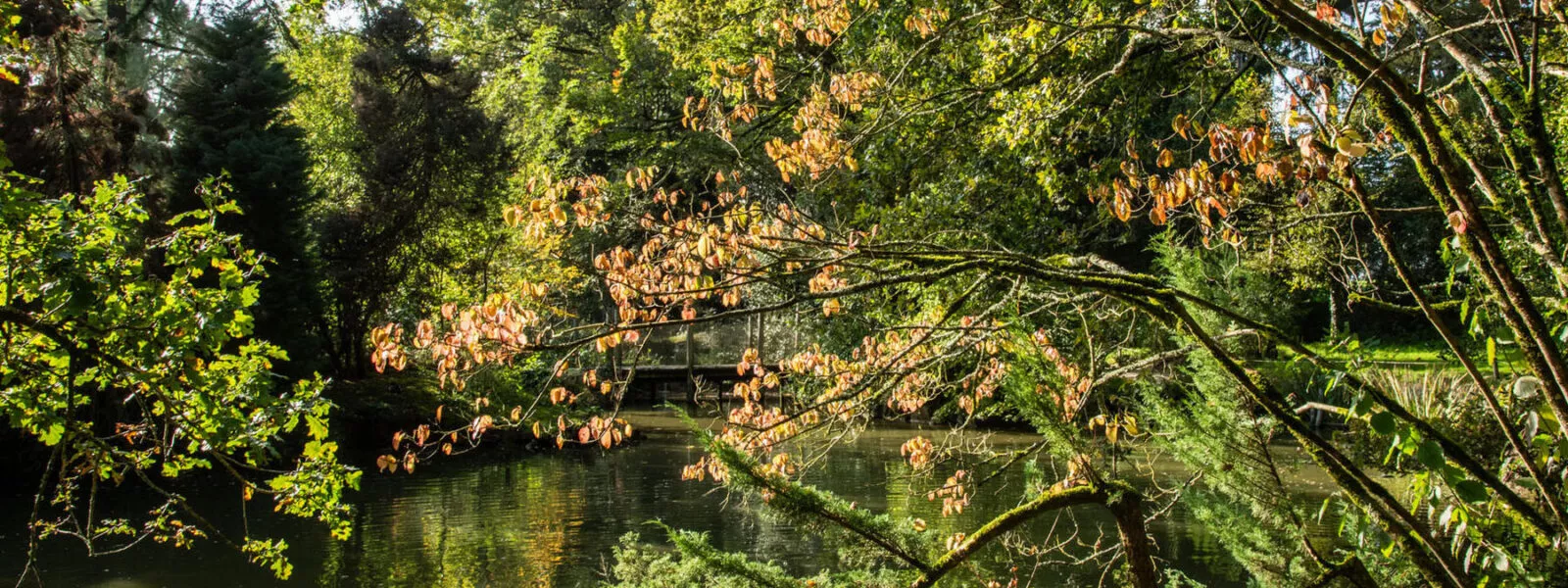 jardin botanique de Branféré vue 3
