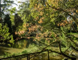 jardin botanique de Branféré vue 3