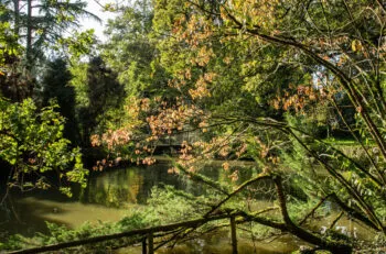 jardin botanique de Branféré vue 3