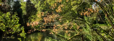 jardin botanique de Branféré vue 3