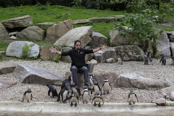 animation espace marin