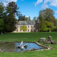 Plaine du chateau de Branféré