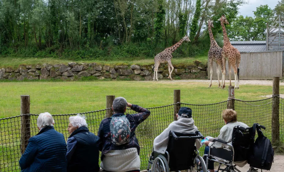 accessibilité et handicap