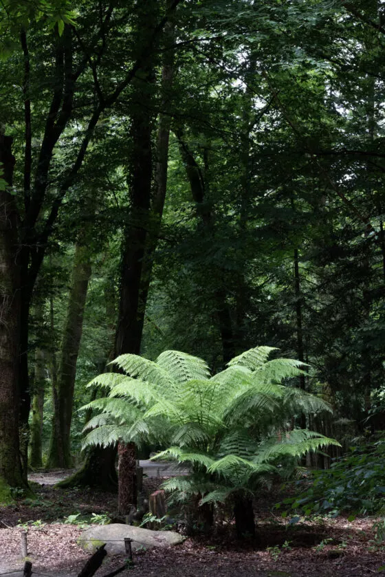 parc botanique vue 2