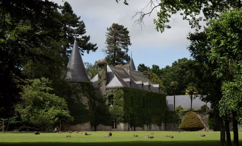 Chateau de Branféré - F.Ferranti