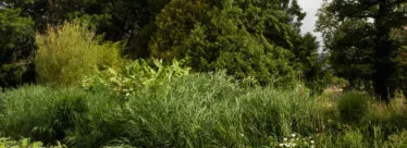 jardin botanique de Branféré vue 4