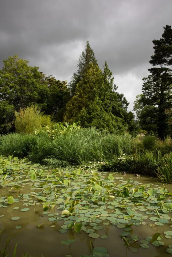 jardin botanique de Branféré vue 4
