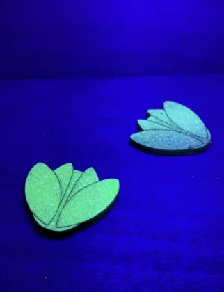 Lucioles les nuits de branféré