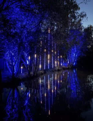 Spectacle nocturne les nuits de Branféré vue 18