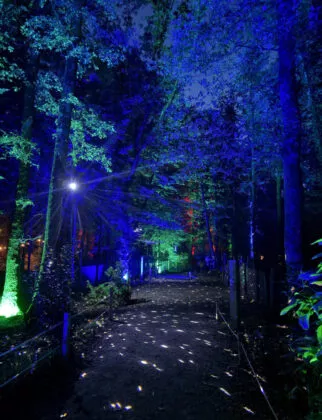 Spectacle nocturne les nuits de Branféré vue 19