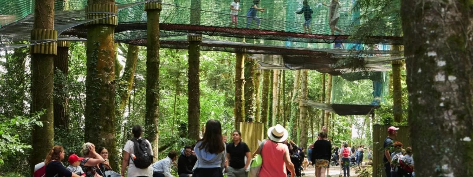 parcabout filets dans les arbres