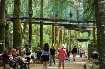 parcabout filets dans les arbres