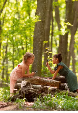 Colonies de vacances a l'école de la nature vue 8