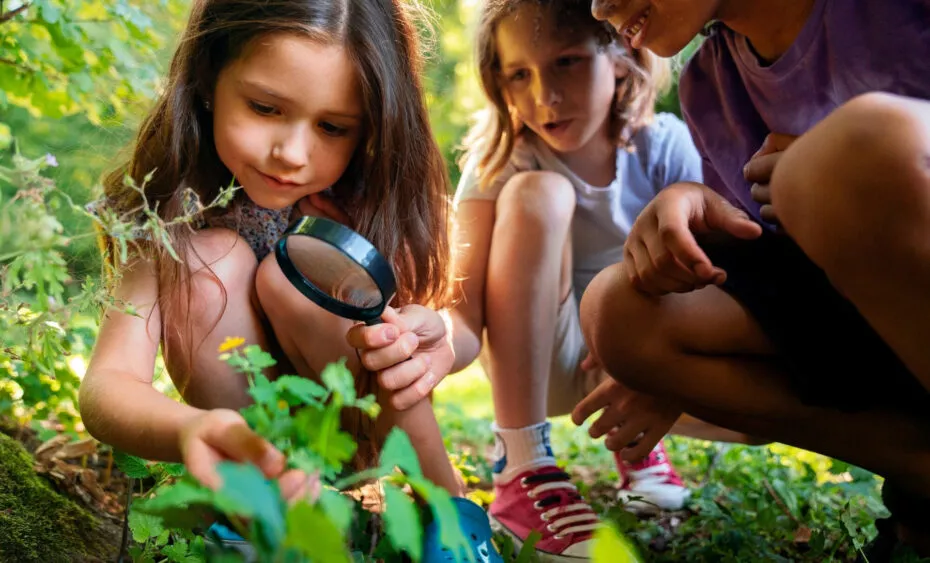 Colonies de vacances a l'école de la nature vue 6