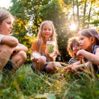 Colonies de vacances a l'école de la nature vue 2