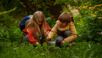 Colonies de vacances a l'école de la nature