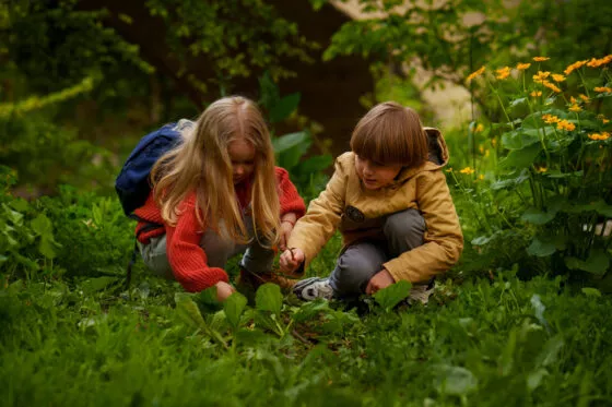 Colonies de vacances a l'école de la nature