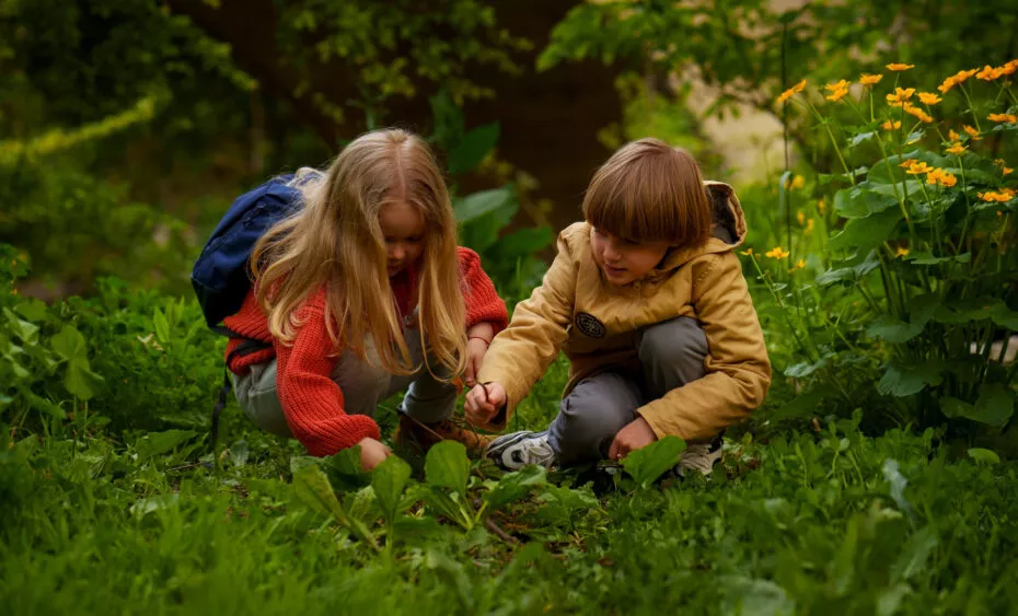 Colonies de vacances a l'école de la nature