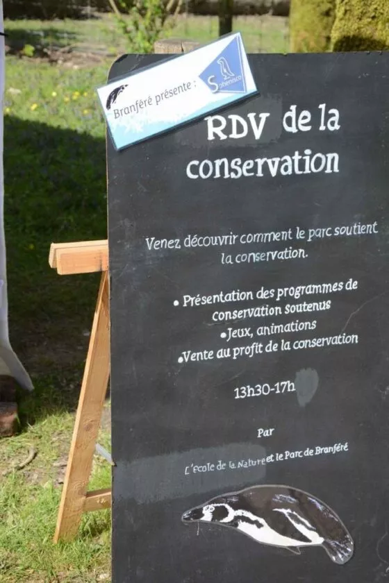 Rendez-vous conservation manchots