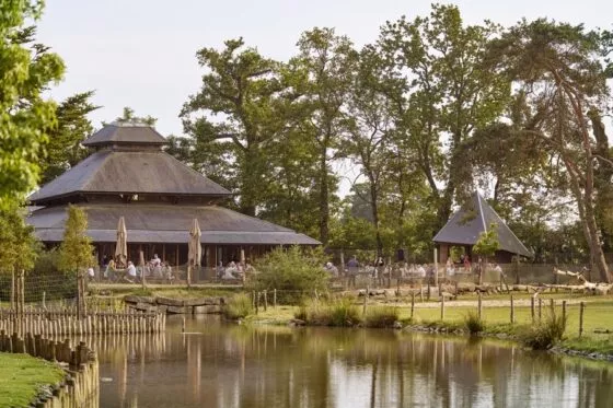 Restauration à Branféré - L.Rannou