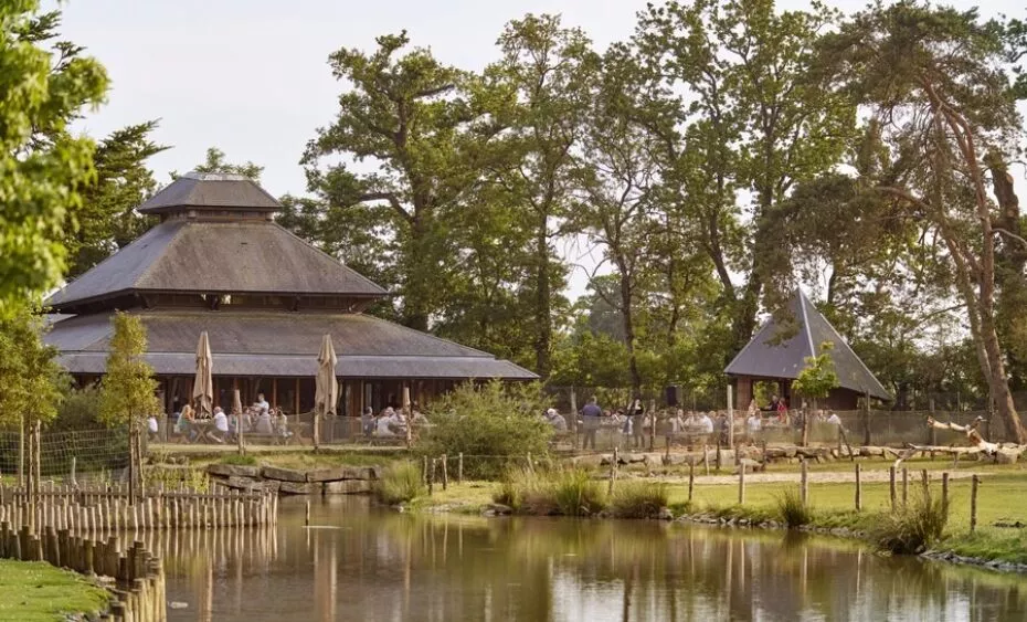 Restauration à Branféré - L.Rannou