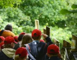 groupe scolaire a branféré