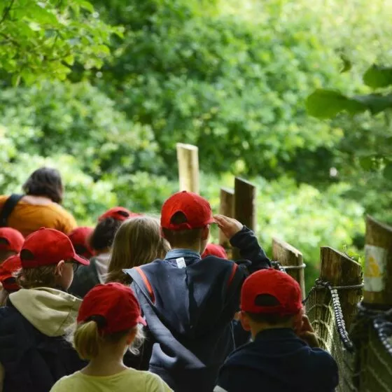 groupe scolaire a branféré