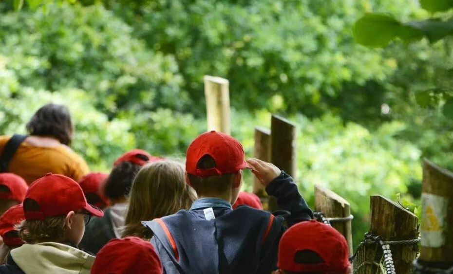 groupe scolaire a branféré