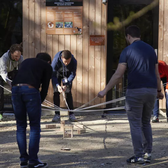 team building a branféré